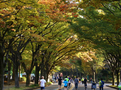 駒沢大学駅周辺でおすすめの整体6選！各施設それぞれの魅力的な特徴あり！